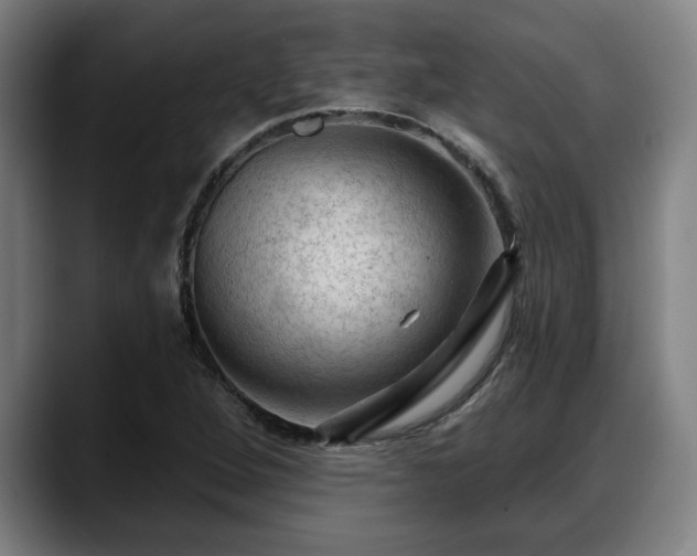 X0000088831264200706141514