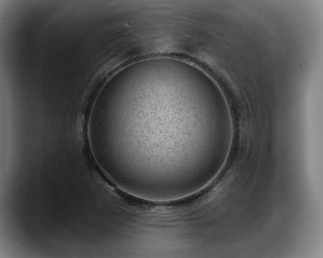X0000088831265200706141514