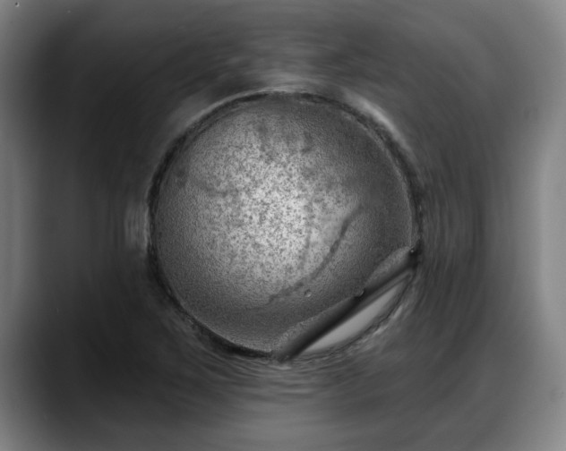 X0000088831267200706141514