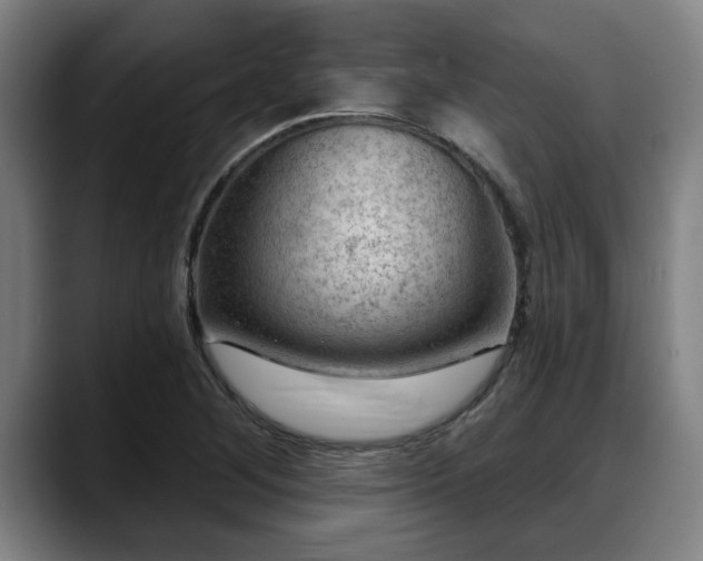 X0000088831268200706141514