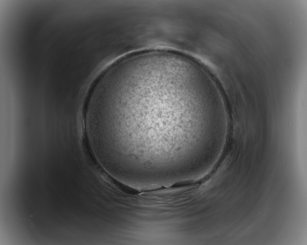 X0000088831271200706141514