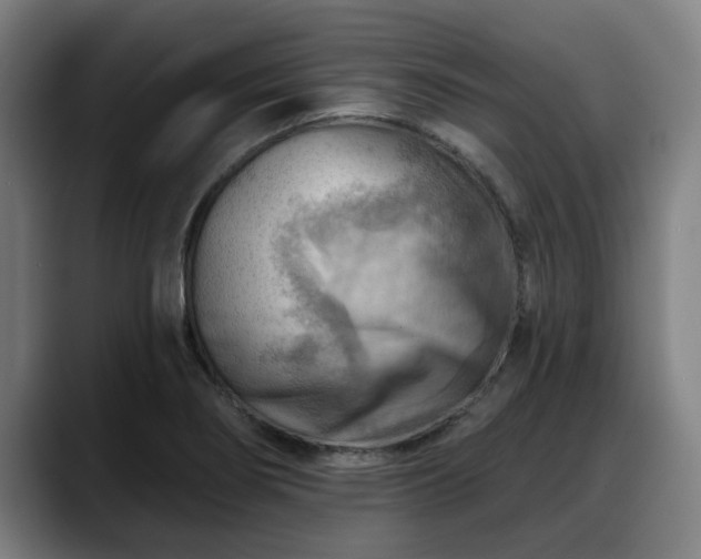 X0000088831274200706141514