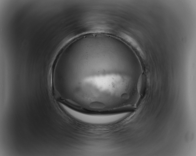 X0000088831275200706141514