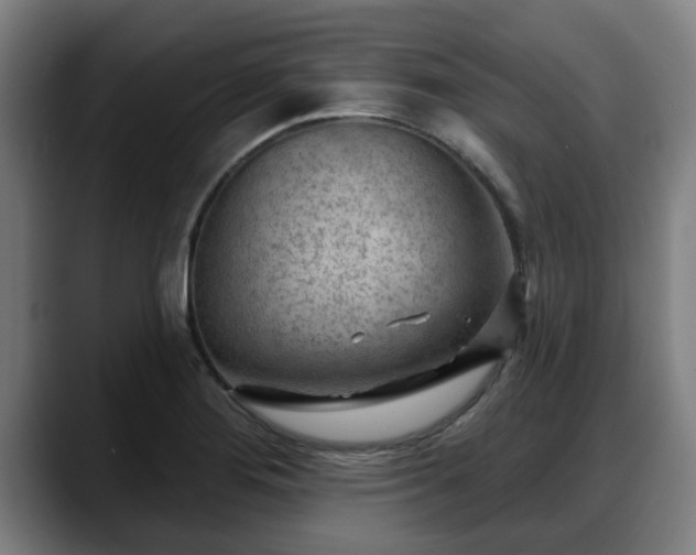 X0000088831276200706141514