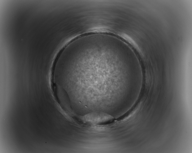 X0000088831277200706141514
