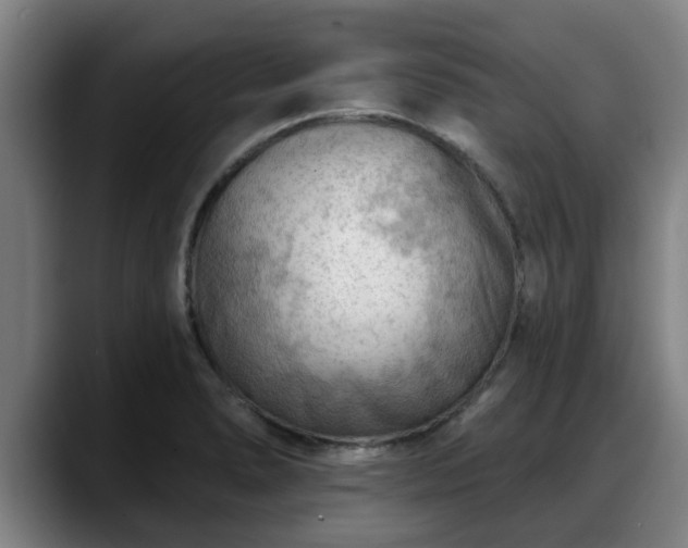 X0000088831278200706141514