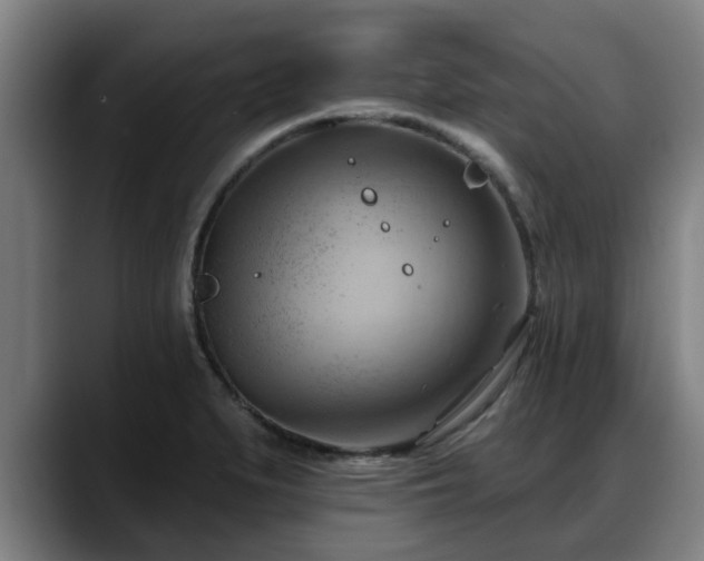 X0000088831279200706141514