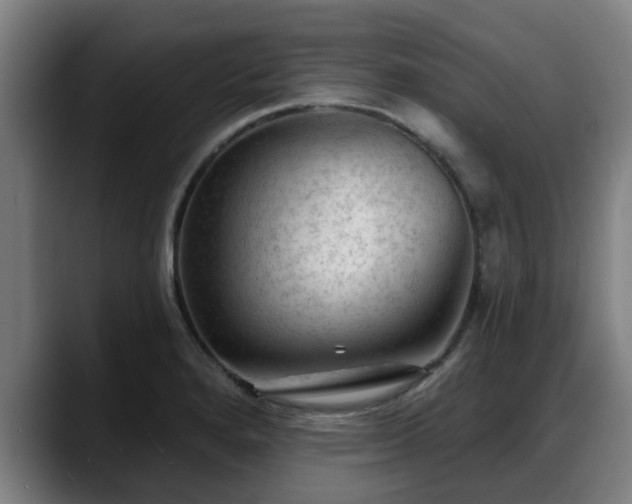 X0000088831280200706141514