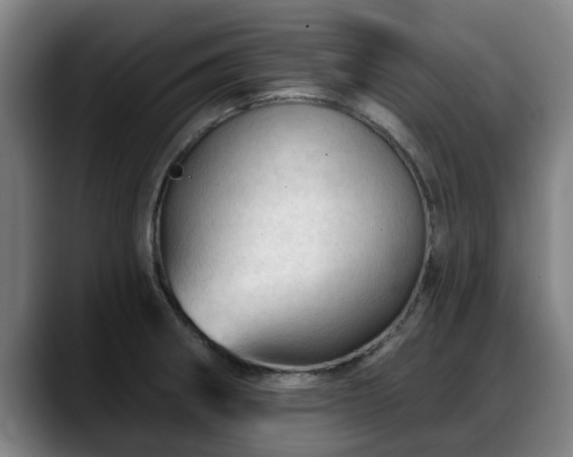 X0000088831282200706141514