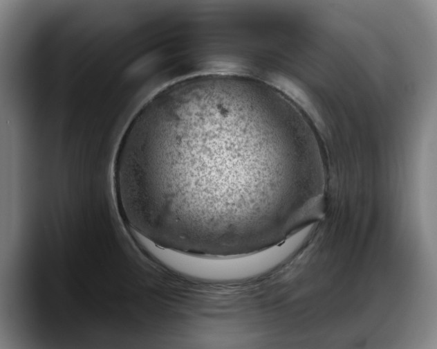 X0000088831283200706141514