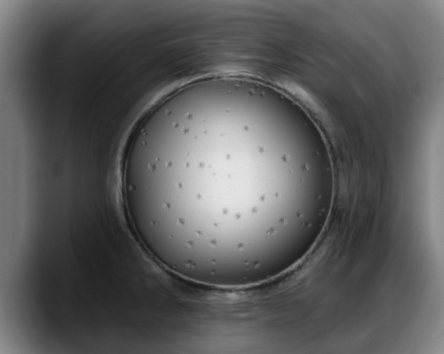 X0000088831286200706141514