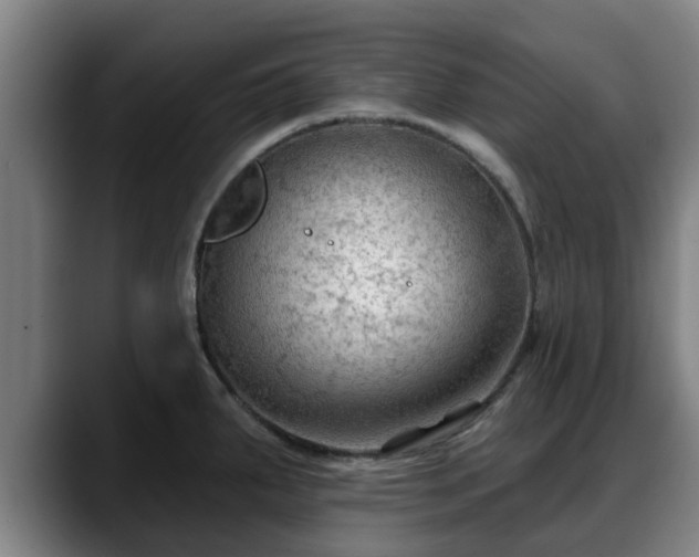 X0000088831287200706141514