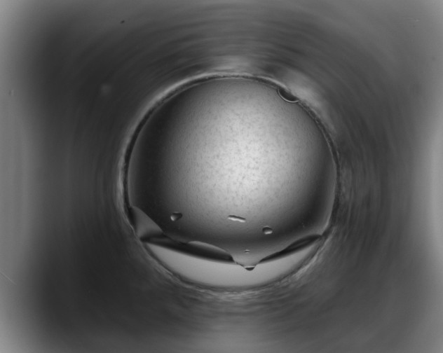 X0000088831288200706141514