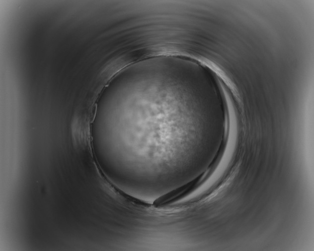 X0000088831289200706141514