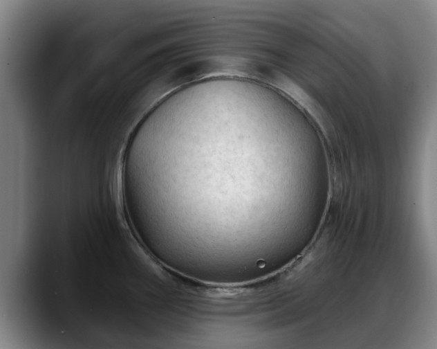 X0000088831290200706141514