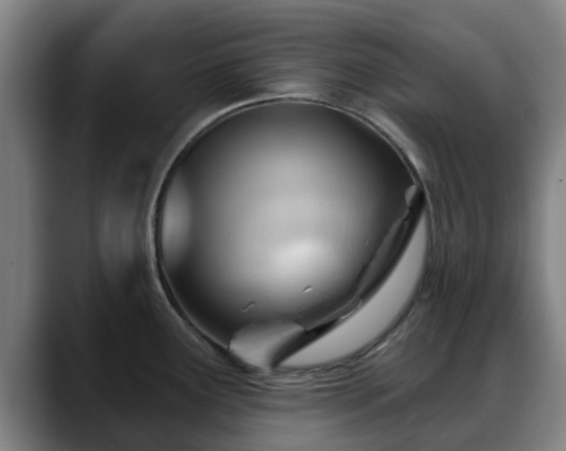 X0000088831291200706141514