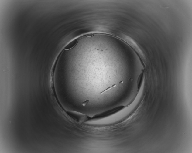 X0000088831292200706141514