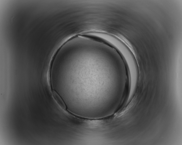 X0000088831293200706141514