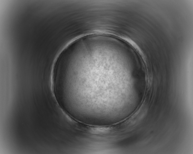 X0000088831294200706141514