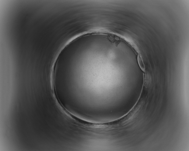 X0000088831295200706141514