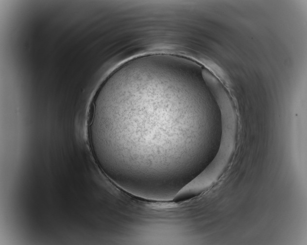 X0000088831296200706141514
