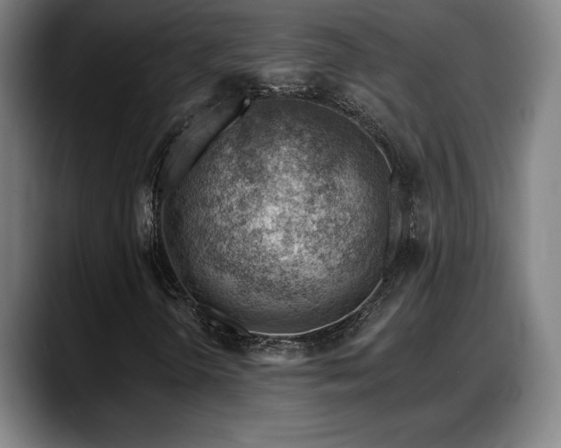 X0000088831298200706141513