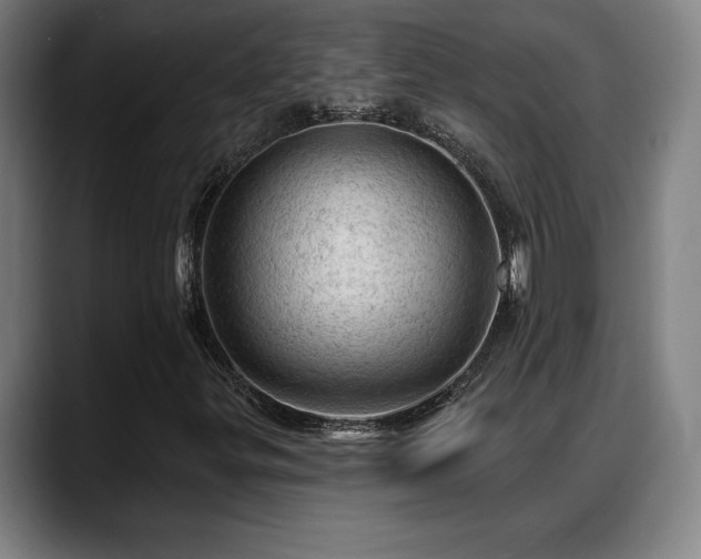 X0000088831299200706141513