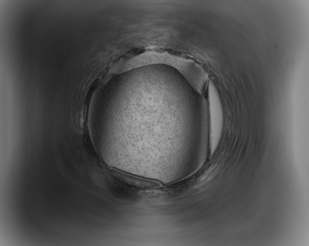 X0000088831300200706141513