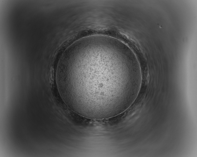 X0000088831301200706141513
