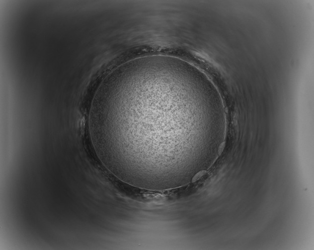 X0000088831302200706141513