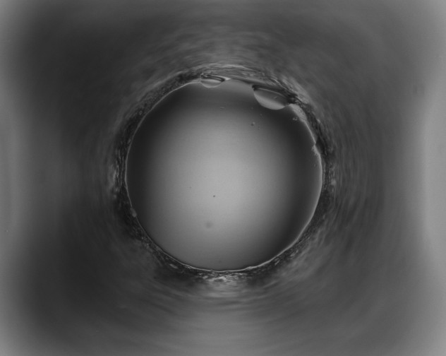 X0000088831303200706141513