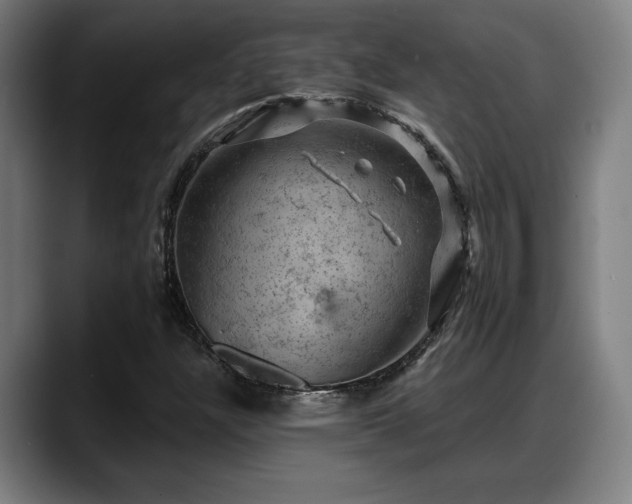 X0000088831304200706141513