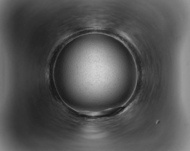 X0000088831307200706141513