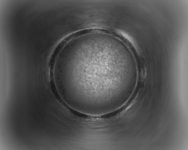 X0000088831310200706141513