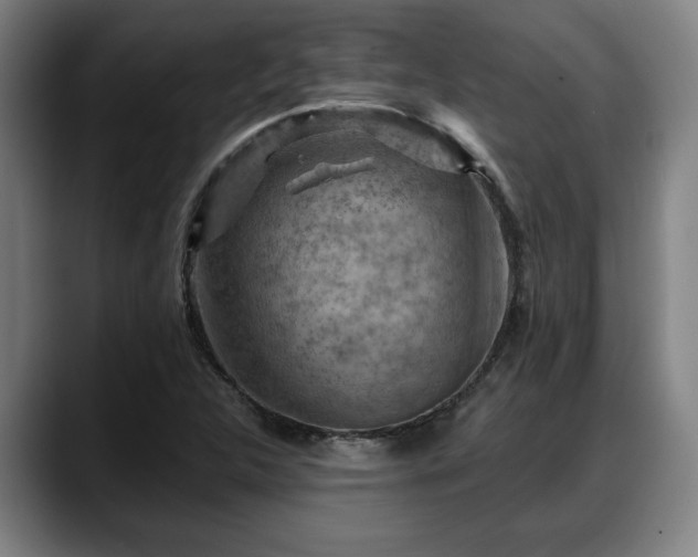 X0000088831312200706141513