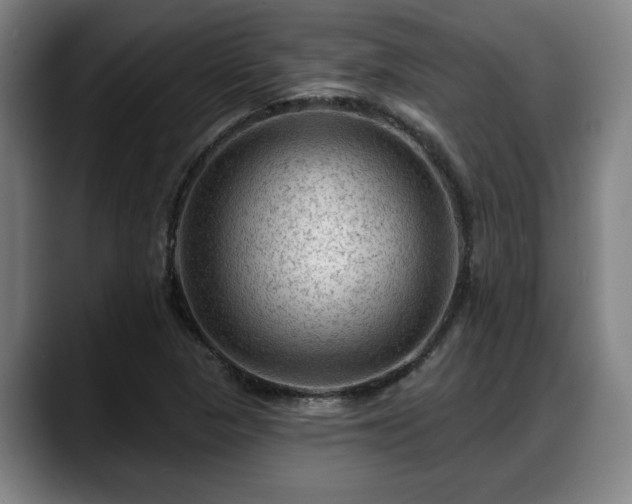 X0000088831313200706141513