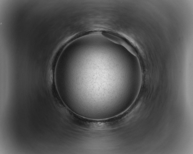 X0000088831317200706141513