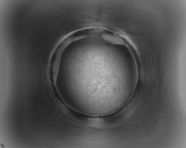X0000088831320200706141513