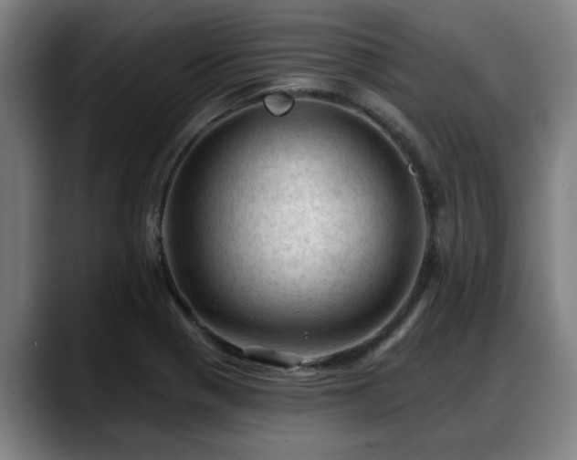 X0000088831321200706141513
