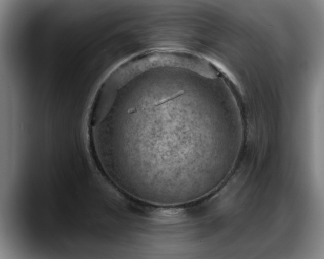 X0000088831325200706141513