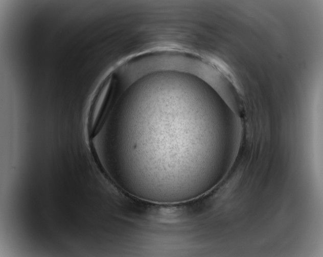 X0000088831326200706141513