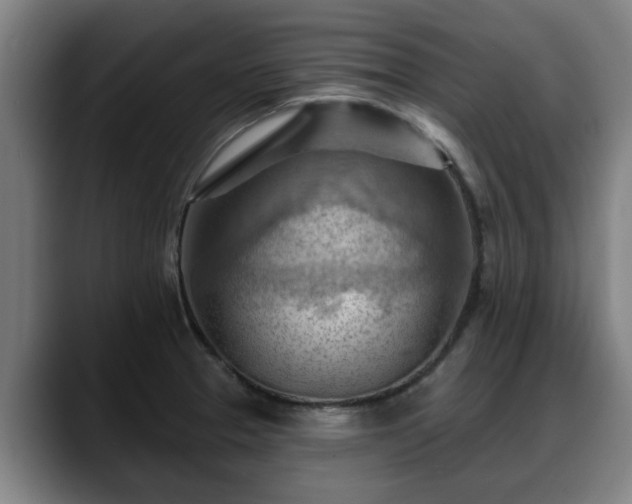 X0000088831329200706141513
