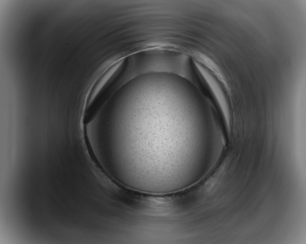 X0000088831330200706141513