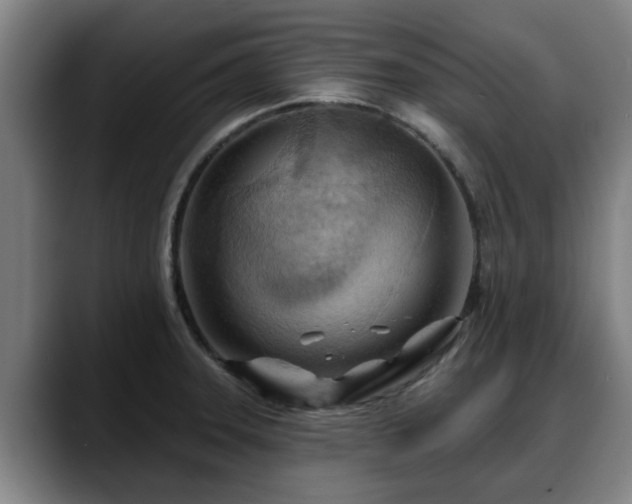 X0000088831331200706141513