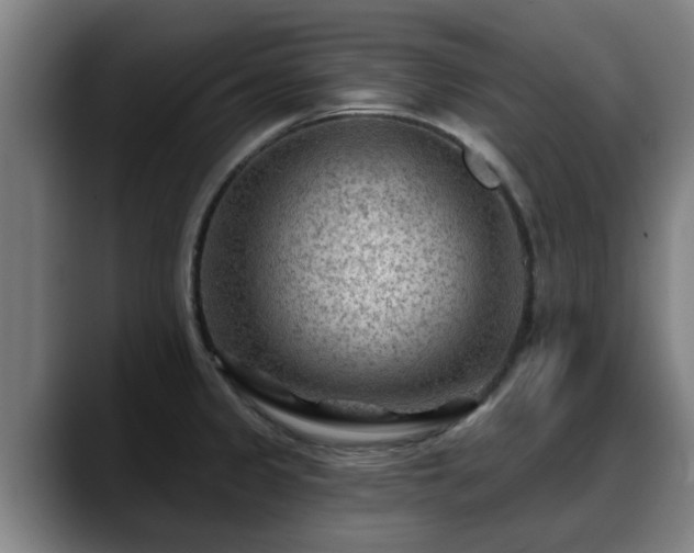 X0000088831333200706141513