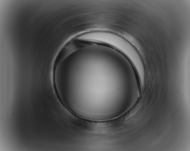 X0000088831334200706141513