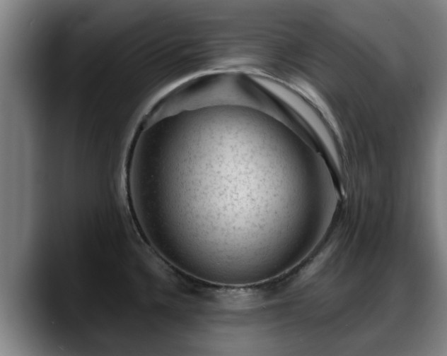 X0000088831336200706141513