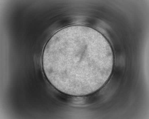X0000088831338200706141513