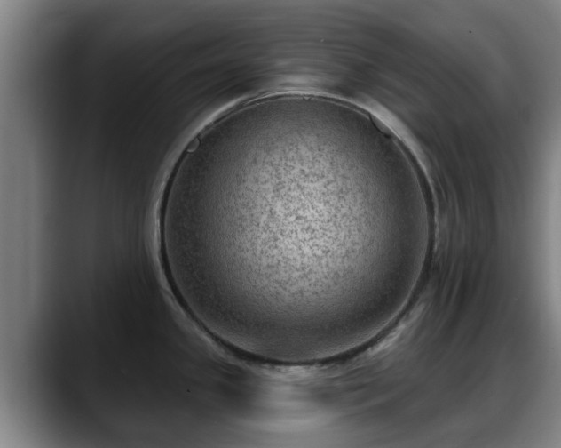 X0000088831341200706141514
