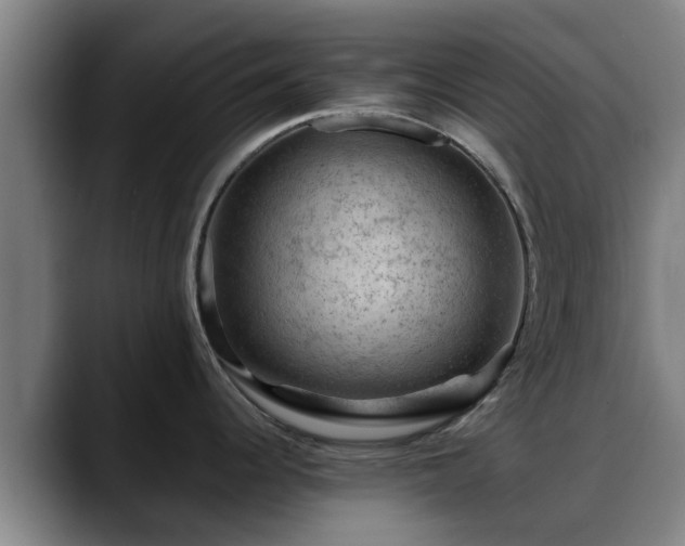 X0000088831344200706141514